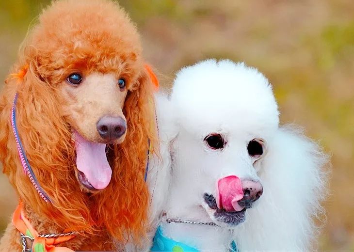 为什么有人把朋友圈设成三天可见,微信怎样把一个人设成三天可见