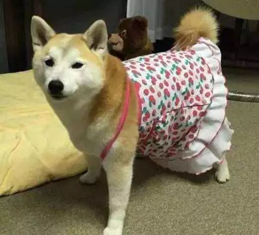 为什么有人把朋友圈设成三天可见,微信怎样把一个人设成三天可见