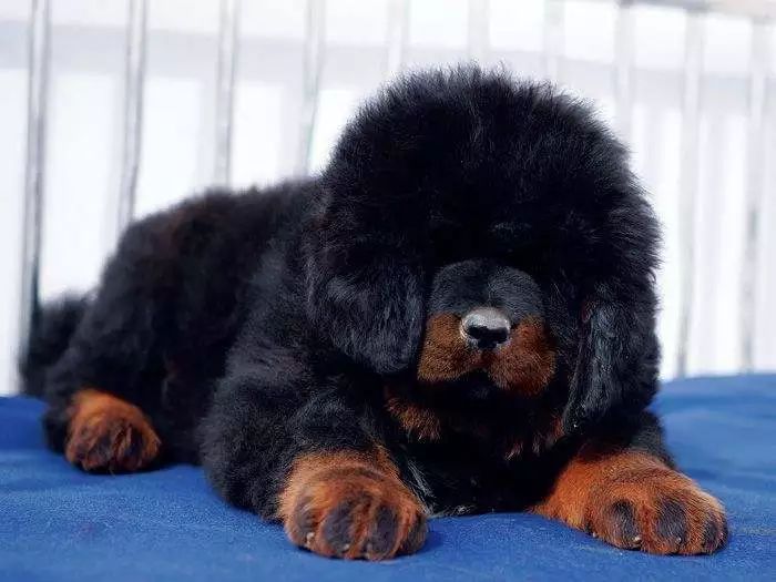 为什么有人把朋友圈设成三天可见,微信怎样把一个人设成三天可见