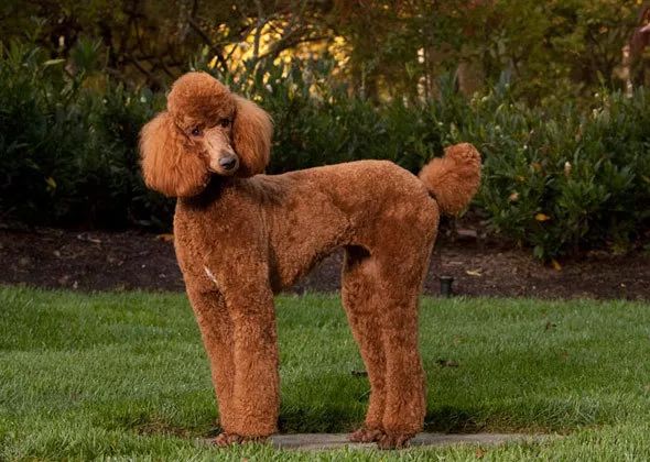 为什么有人把朋友圈设成三天可见,微信怎样把一个人设成三天可见