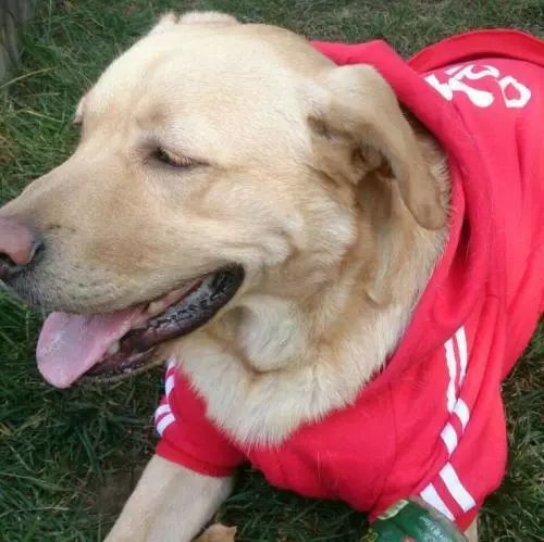 为什么有人把朋友圈设成三天可见,微信怎样把一个人设成三天可见