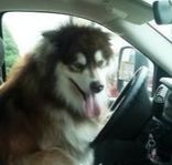 为什么有人把朋友圈设成三天可见,微信怎样把一个人设成三天可见