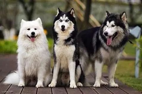 为什么有人把朋友圈设成三天可见,微信怎样把一个人设成三天可见