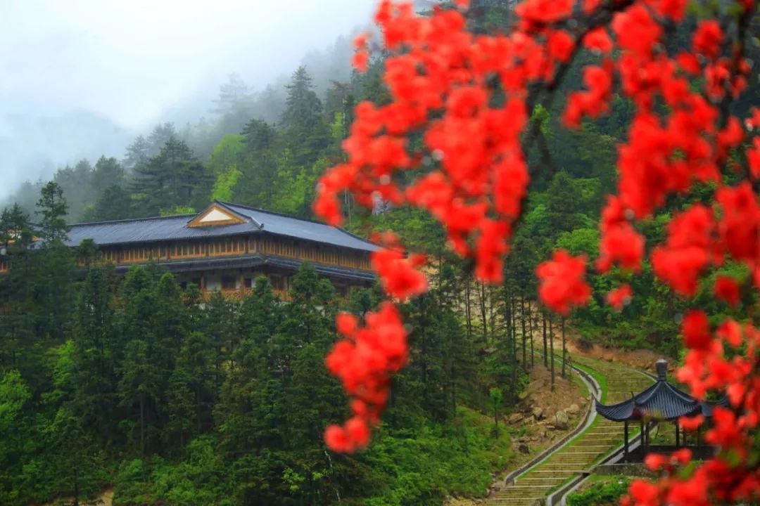 羊狮慕风景区过年放假么,暑期放假优惠有礼