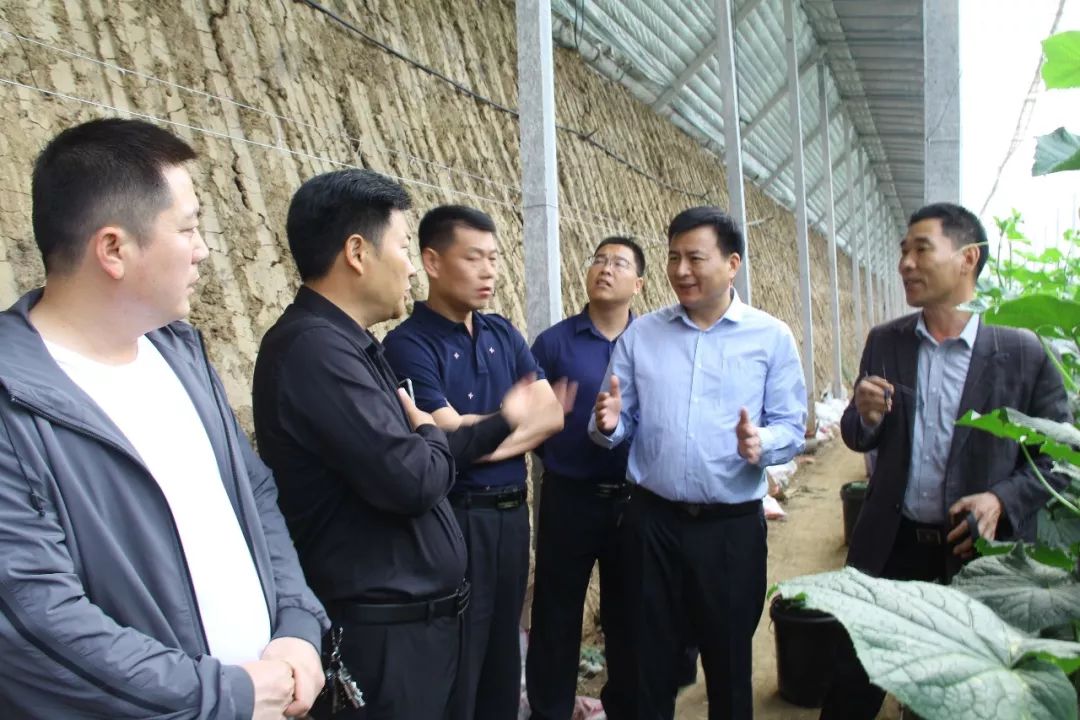 閮煄鎵竼璧疯埅,閮煄鍥炰埂鍒涗笟