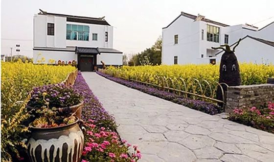 妇联工作示范村,新北妇联新消息