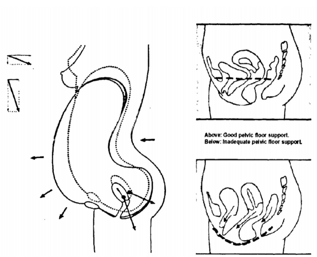女星ella,ella自爆