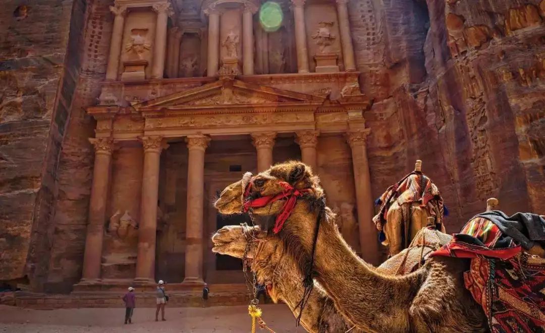 中国旅游护照,中国护照可以意大利旅游吗