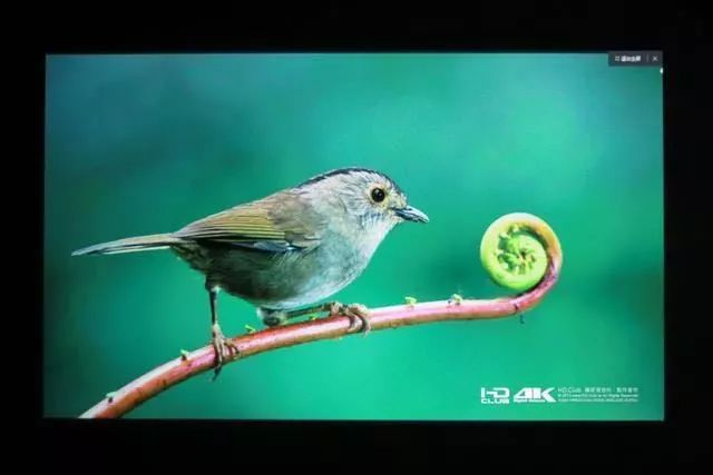 预告：明基新款智能家用色准投影仪，AI智能语音加持，在家打造专业影院在线学习娱乐中心