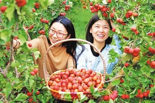 中央财政培训,国家扶持免费培训项目在哪里报名