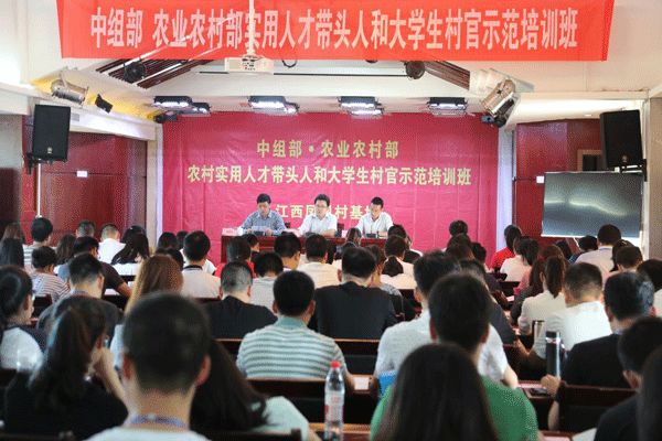 中央财政培训,国家扶持免费培训项目在哪里报名