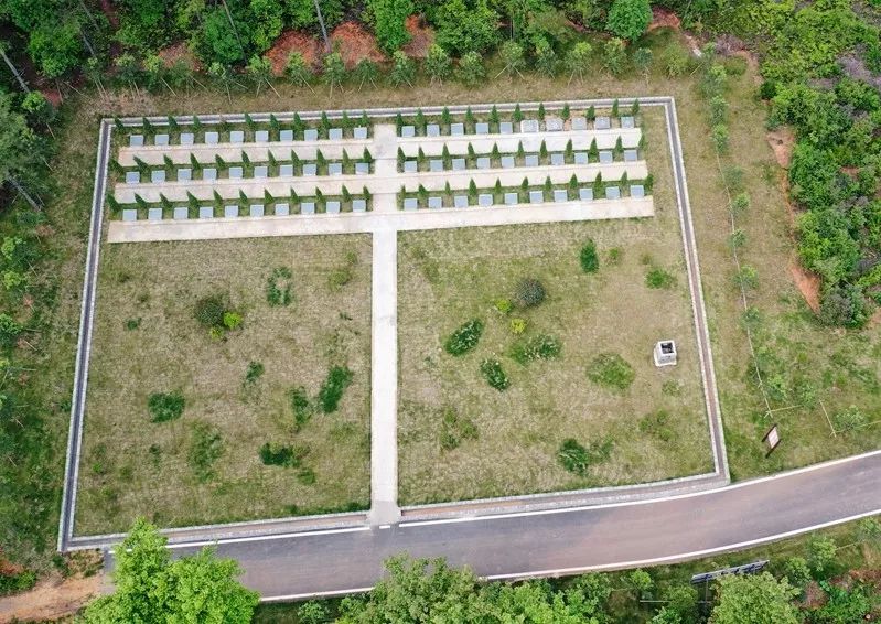 绿色殡葬初显成效,江西绿色殡葬改革文件