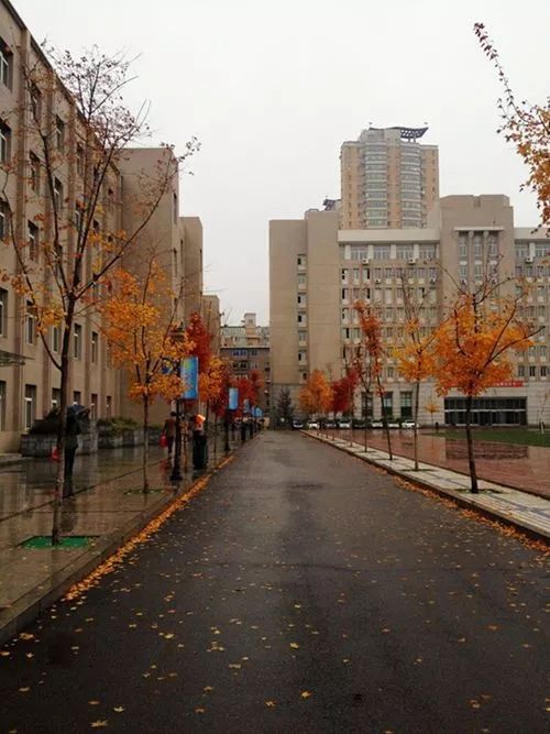 沈阳家长对开学的顾虑,沈阳小升初择校正确步骤