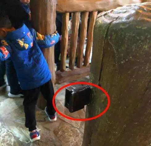 人民日报评价迪士尼,人民日报暗访旅游