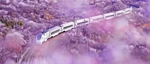 出发啦！9个方向51趟旅游专列让您玩玩玩不够
