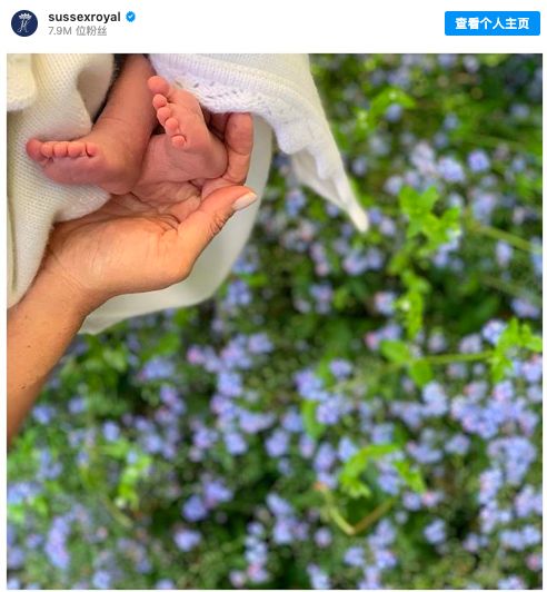 新西兰到底有多好呢,新西兰到底有多好