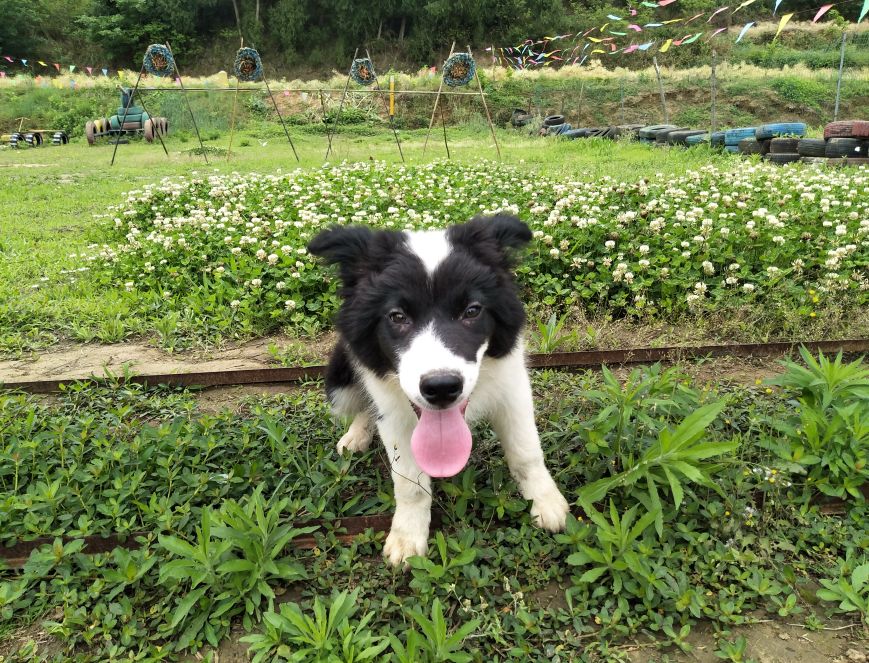 梓潼县石牛镇华沙度假村,石牛镇华沙生态度假村