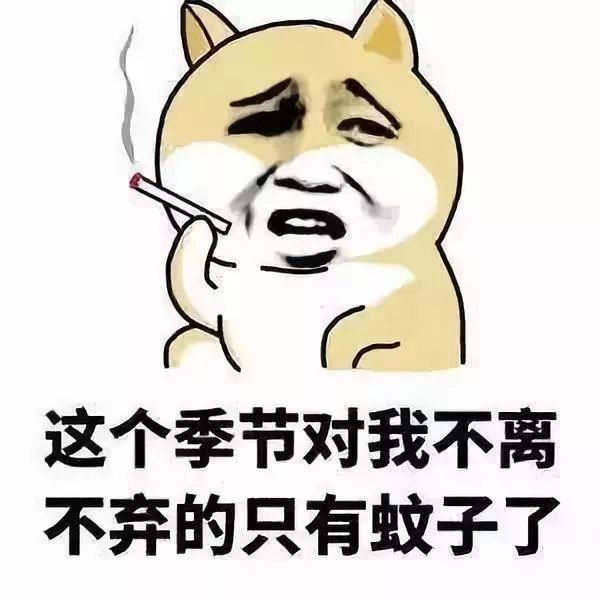 蚊子为什么爱咬你,为什么蚊子只咬你一个人