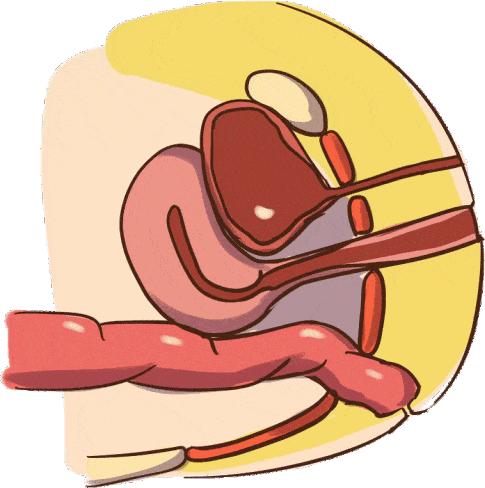 ella揭秘生育后遗症,ella产后尿失禁原因