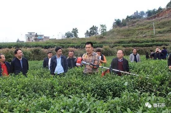 贵州石阡县国荣乡,贵州石阡国荣乡