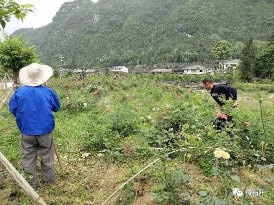 贵州石阡县国荣乡,贵州石阡国荣乡