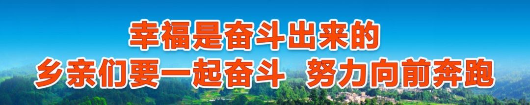 紫金小学师资,紫金小学报名条件