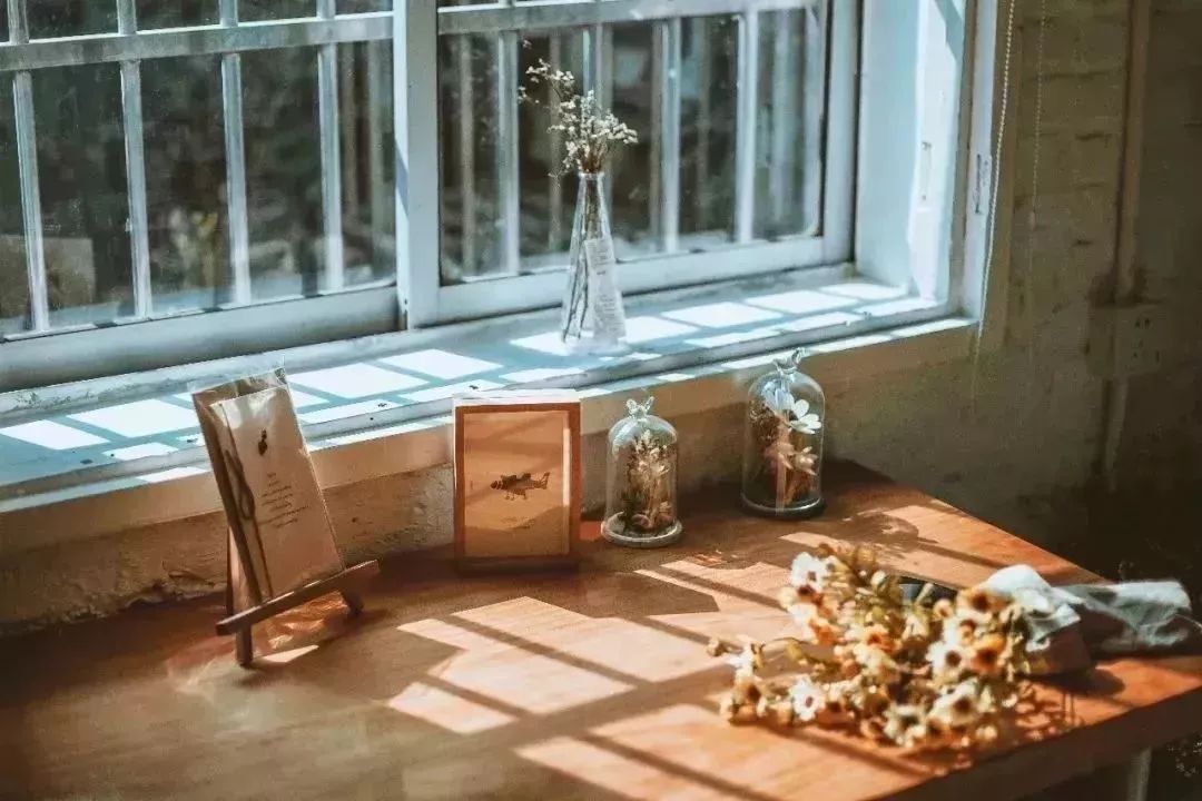 夏季防蚊虫大作战,小窍门实用防蚊虫