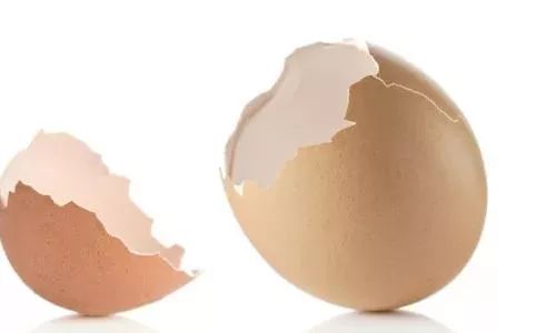 夏季防蚊虫大作战,小窍门实用防蚊虫