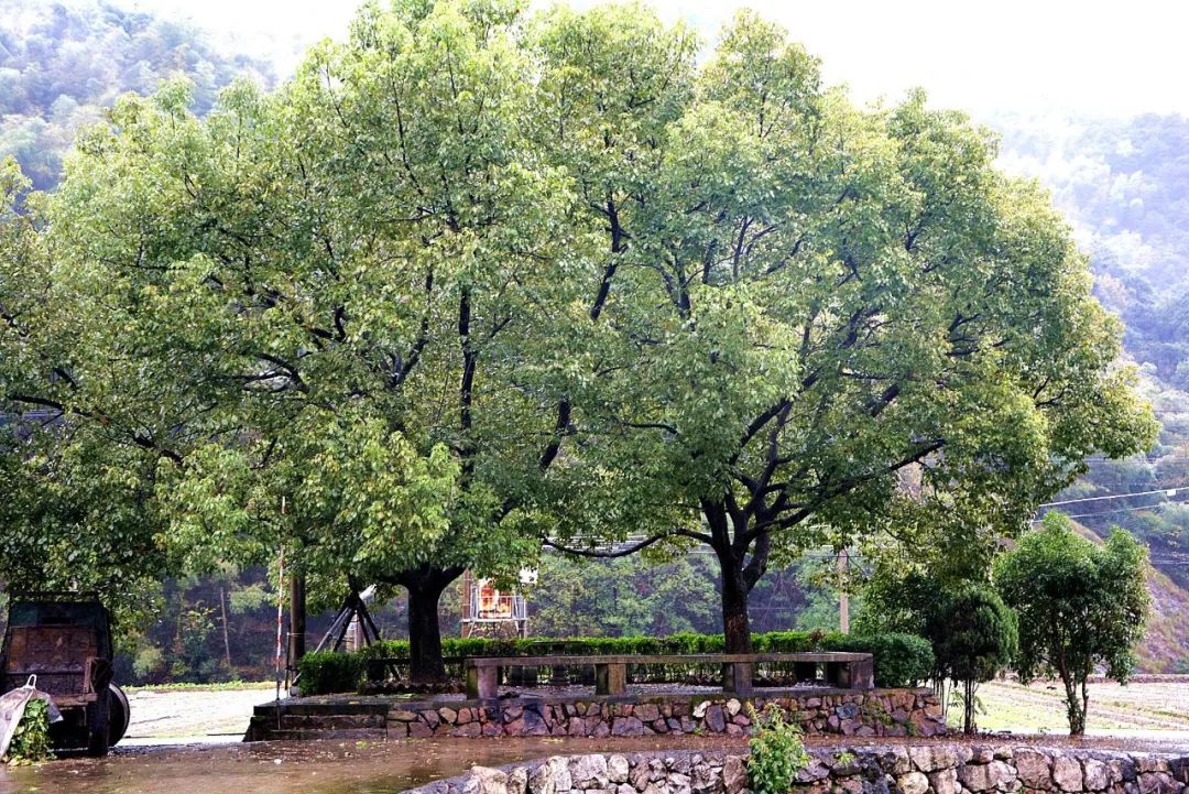 绍兴徒步乡村,周日绍兴徒步旅游攻略最新