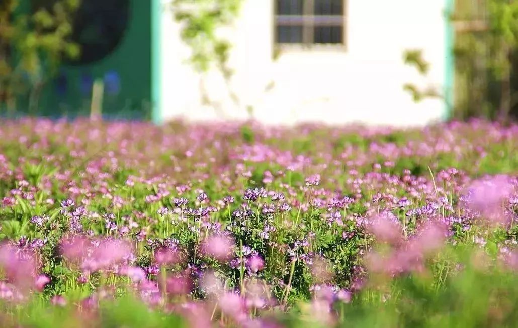绍兴徒步乡村,周日绍兴徒步旅游攻略最新