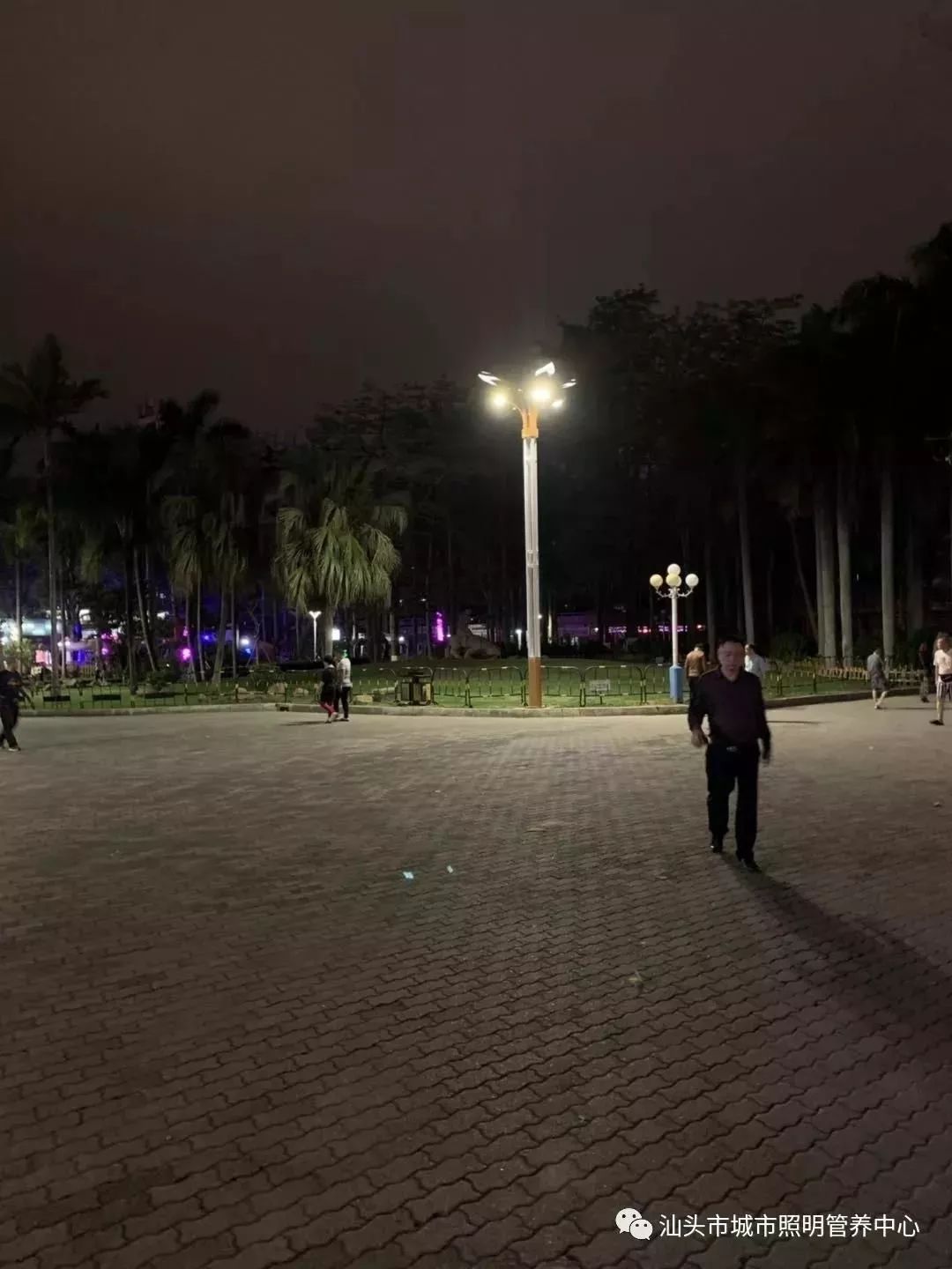 金砂公园24小时开放吗,金砂公园有什么玩的