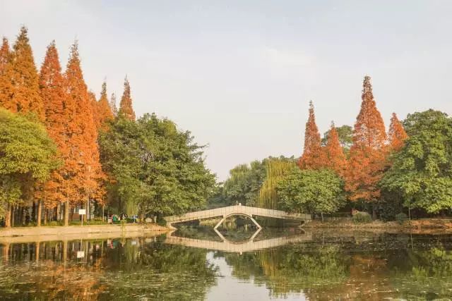 在成都市生活住哪个区比较好,在成都住一个月是租房还是住酒店
