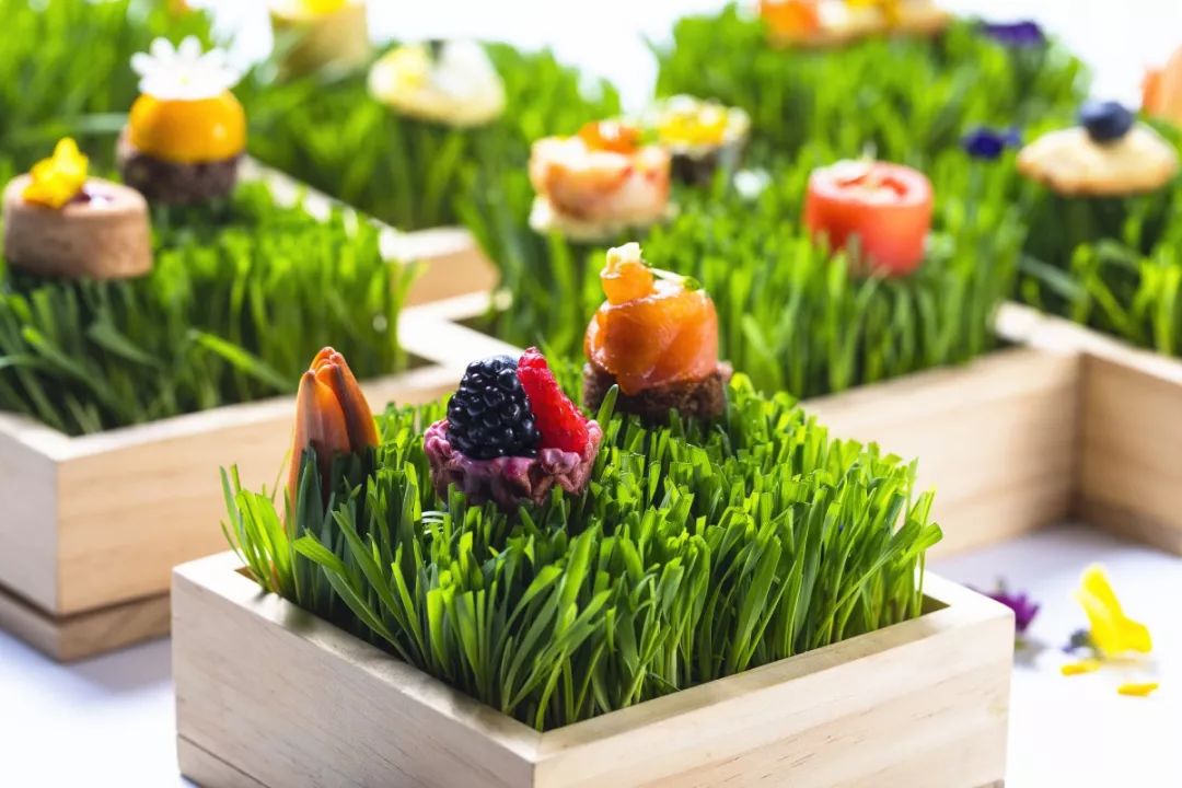 小仙女的下午茶教程,小仙女们的下午茶地点