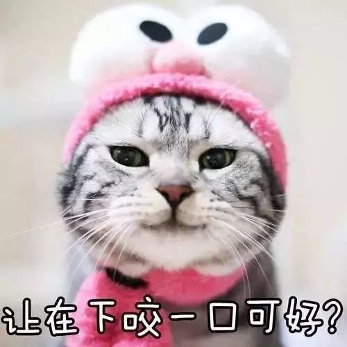 隐藏已久重庆老火锅团购套餐,隐藏在角落的重庆火锅