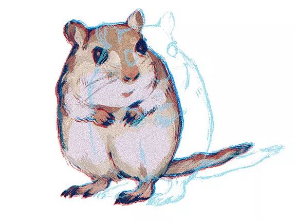 数亿色盲者的希望,可能在这只“超能力猴”身上