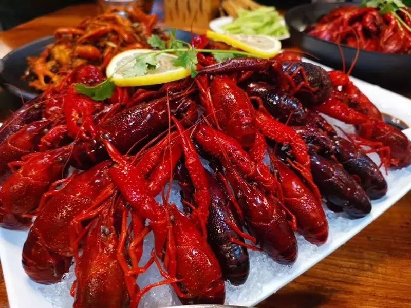 大河生活畅游卡,2020大河生活卡畅游版