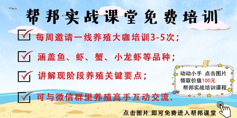 蟹塘里青苔的种类,蟹塘青苔可以杀吗