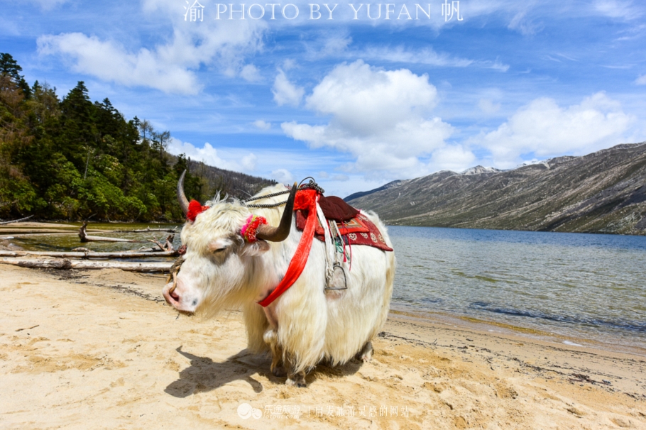 高山湖泊木格措,川西木格措风景区