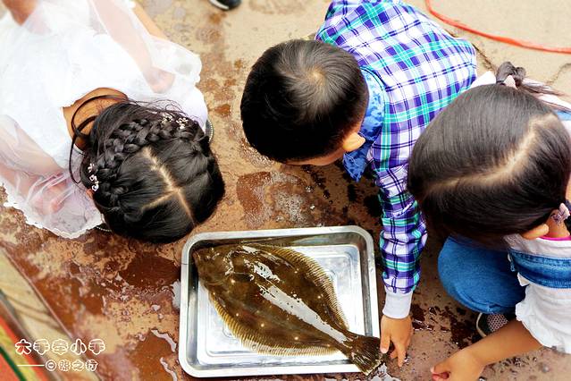 日照天气,日照房价
