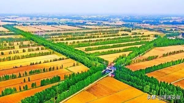 全体集合！开秧门和永丰大戏即将上演，这个周末和小美一起来玩！