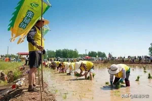 全体集合！开秧门和永丰大戏即将上演，这个周末和小美一起来玩！