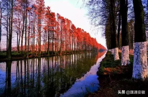 全体集合！开秧门和永丰大戏即将上演，这个周末和小美一起来玩！