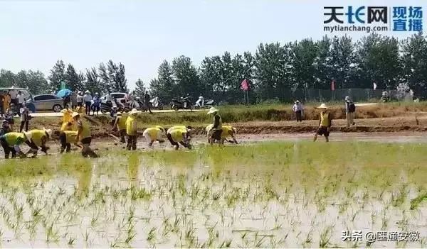 全体集合！开秧门和永丰大戏即将上演，这个周末和小美一起来玩！