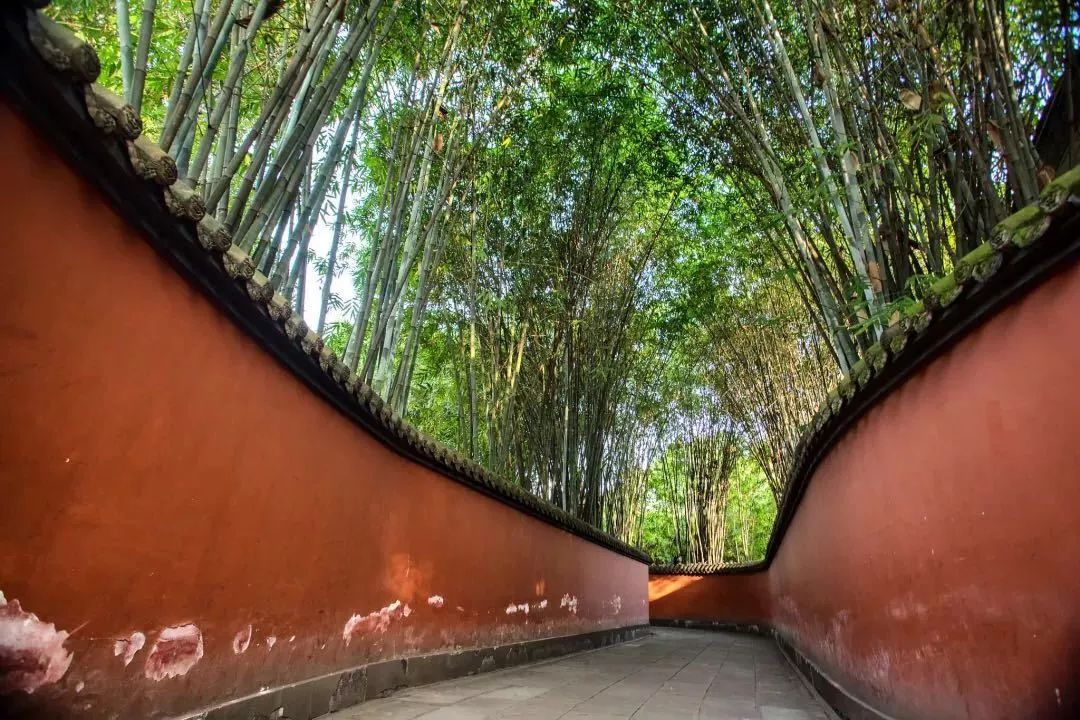 成都有一千种样子,我挑了其中的四种给你