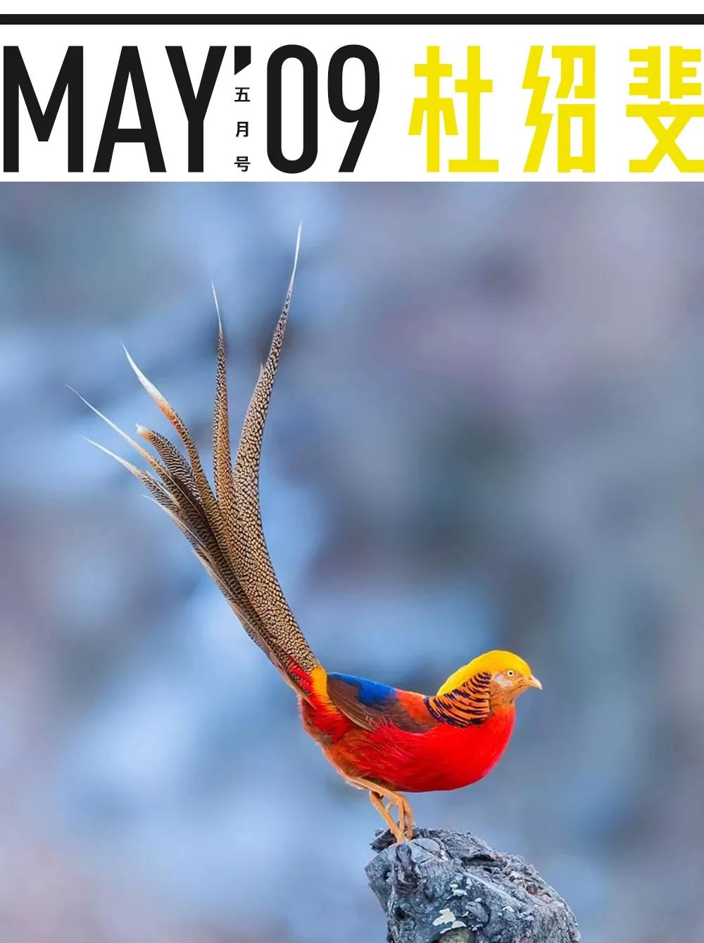 一个外国人眼中的北京,中国人对北京的看法