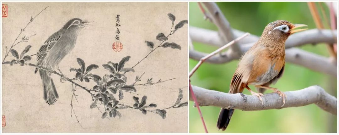 一个外国人眼中的北京,中国人对北京的看法