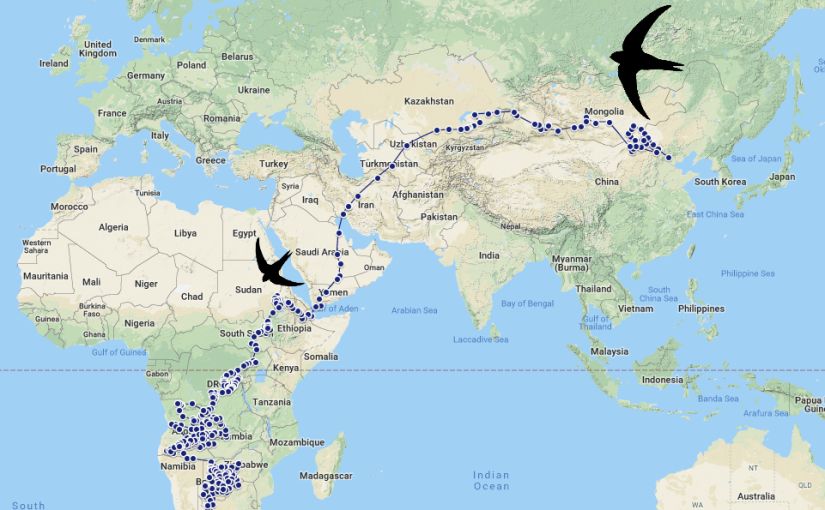 一个外国人眼中的北京,中国人对北京的看法