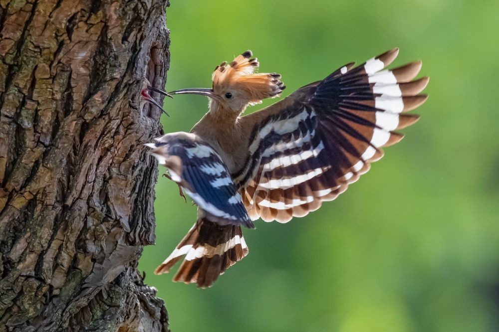 一个外国人眼中的北京,中国人对北京的看法