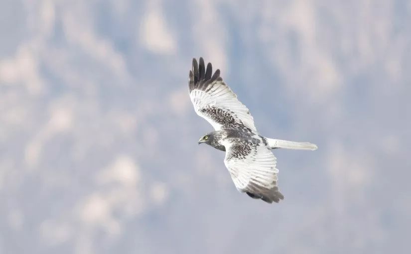 一个外国人眼中的北京,中国人对北京的看法