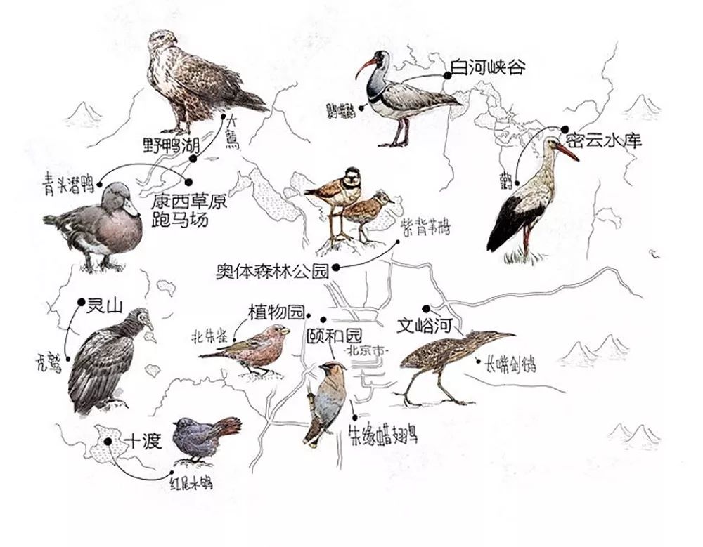 一个外国人眼中的北京,中国人对北京的看法